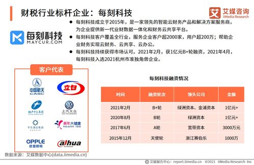 2021上半年中國(guó)財(cái)稅類企業(yè)服務(wù)專題研究報(bào)告 社會(huì)經(jīng)濟(jì)咨詢服務(wù)的發(fā)展趨勢(shì)與挑戰(zhàn)