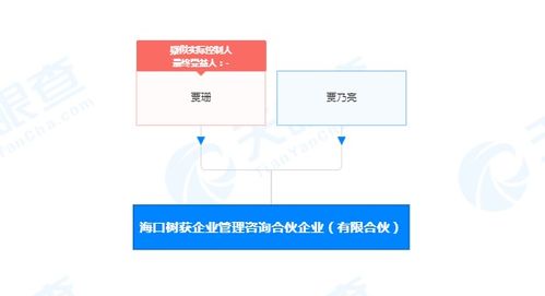 解碼社會經(jīng)濟咨詢服務(wù)的價值與挑戰(zhàn)